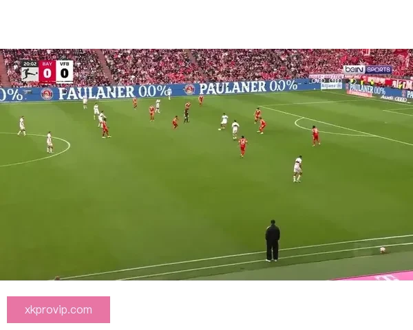 斯图加特球迷愤怒扔折叠椅场上冲突引发争议